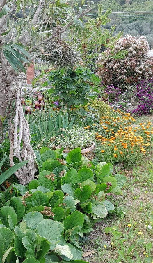 Apartmán La Casa Nel Caruggio Diano Arentino Exteriér fotografie